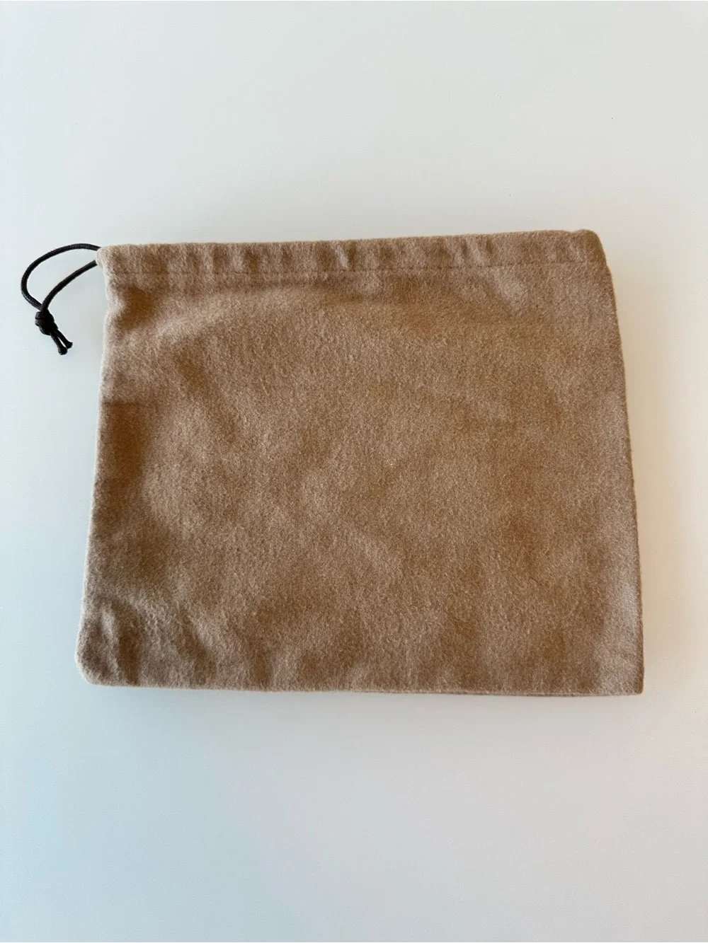 Bottega Veneta Suede Dust Bag in Tan